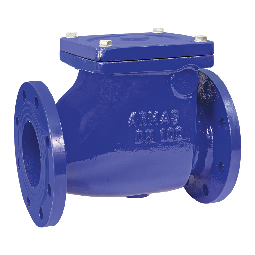 ARMAŞ ÇALPARA ÇEKVALF Ø65-2½''