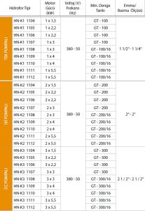ALF Energy HN-K2 1109 serisi Çift Pompalı Yangın Hidraforu