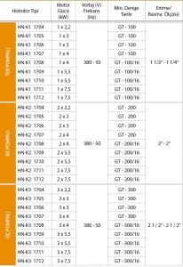 ALF Energy HN-K3 1709 serisi Üç Pompalı Yangın Hidroforu