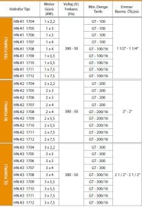Alf Energy HN-K1 1708 Tek Pompalı Frekans Kontrol Hidrofor 