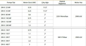 DR-R 100 T Kirli-Pis-Foseptik Dalgıç Pompa Pasl.Çelik 0,75 kw