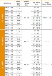 Alf Energy HN-K1 1105 Tek Pompalı Kullanım Suyu Hidrofor 