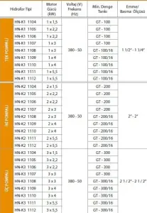 Alf Energy HN-K1 1112 Tek Pompalı Kullanım Suyu Hidrofor 