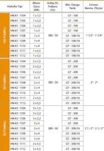 Alf Energy HN-K2 1109 Çift Pompalı Kullanım Suyu Hidrofor 