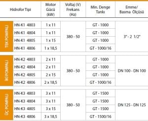 Alf Energy HN-K2 4804 Çift Pompalı Kullanım Suyu Hidrofor 